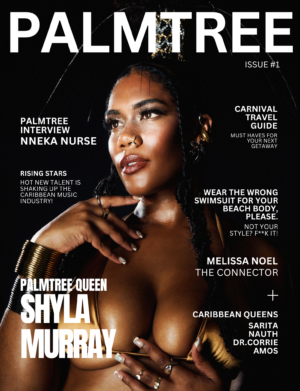 PALMTREE ISSUE #1: A BIKINI DEBUT!